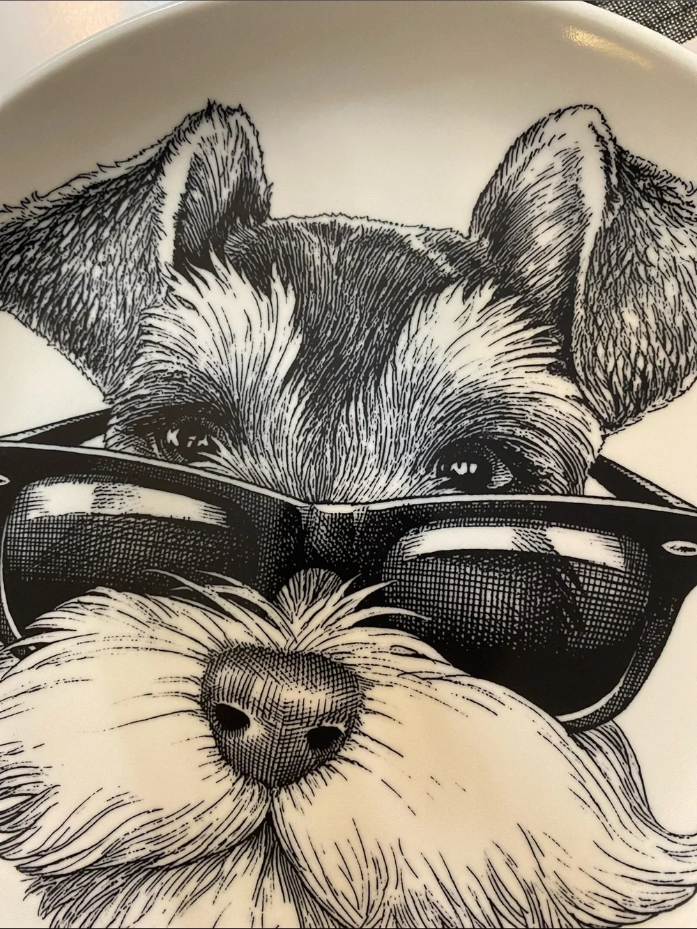 Williams Sonoma Rory Dobner Ink-Illustrated Schnauzer Dog Plate w/Sunglasses NEW